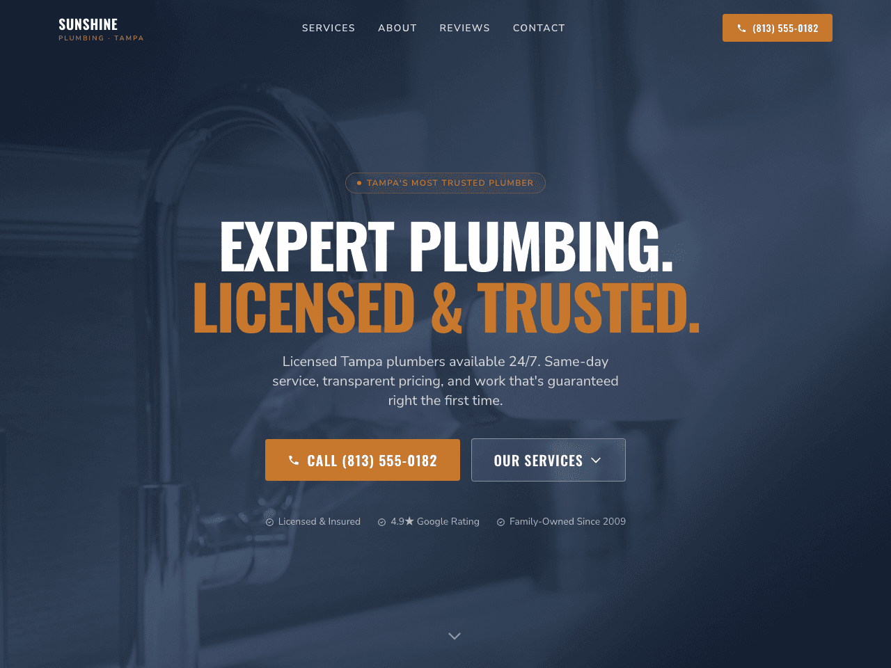 Sunshine Plumbing of Tampa demo site